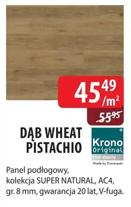 DDD Dąb wheat pistachio oferta