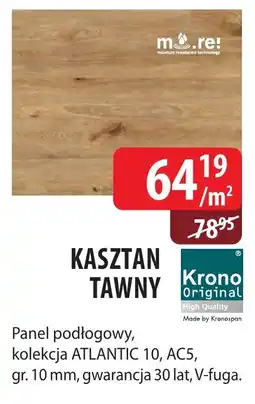 DDD Kasztan tawny oferta