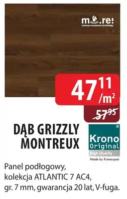DDD Dab grizzly montreux oferta