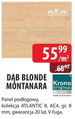 DDD Dab blonde montanara oferta