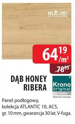 DDD Dąb honey ribera oferta