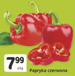 Marketvita Papryka czerwona oferta