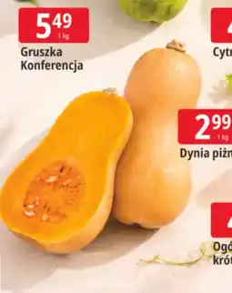 E.Leclerc Dynia piżmowa oferta