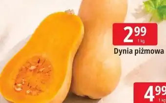 E.Leclerc Dynia piżmowa oferta