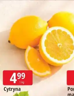 E.Leclerc Cytryna oferta