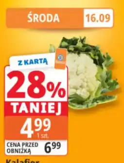 E.Leclerc Kalafior oferta
