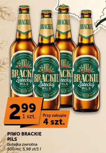 Groszek Piwo Brackie Pils oferta
