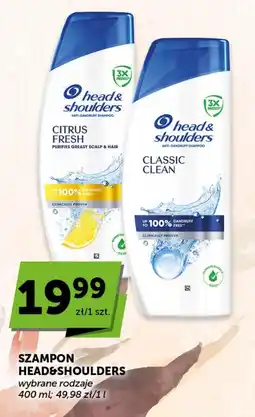 Groszek Szampon Head&Shoulders wybrane rodzaje oferta