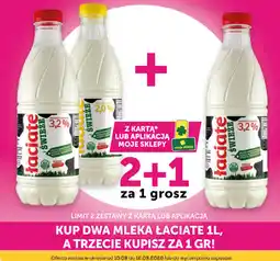 Groszek Mleko Łaciate oferta