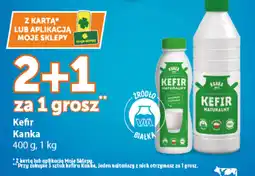 Groszek Kefir Kanka oferta
