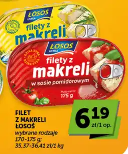 Groszek Filety z Makreli Łosos oferta