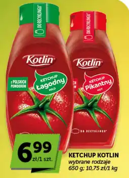 Groszek Ketchup Kotlin wybrane rodzaje oferta