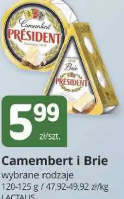 Marketvita Camembert i Brie wybrane rodzaje oferta