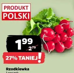 Netto Rzodkiewka oferta