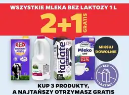 Netto Wszystkie mleka bez laktozy oferta
