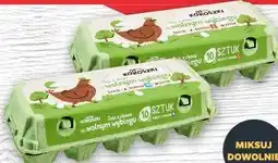 Netto Jaja z chowu na wolnym wybiegu Kokoszki oferta
