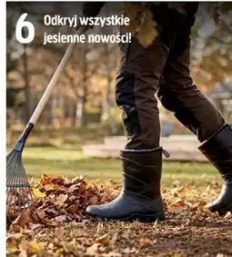 Jula Odkryj wszystkie jesienne nowości! oferta