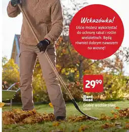 Jula Hard Head Grabie wachlarzowe 018979 oferta