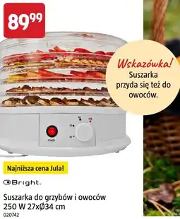 Jula Bright Suszarka do grzybów i owoców 250 W 27xØ34 cm oferta