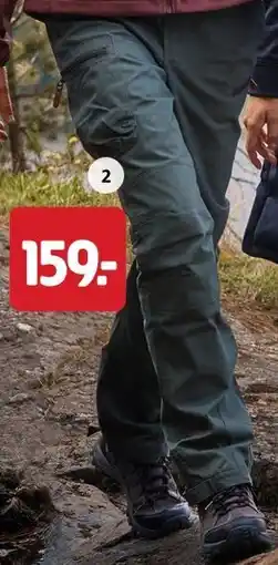 Jula Spodnie damskie oferta