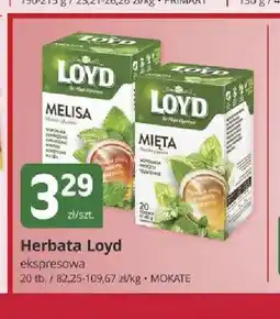 Marketvita Herbata ekspresowa melisa Loyd oferta