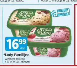 Marketvita Lody Familijne Zielona Budka oferta