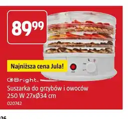 Jula Suszarka do grzybów i owoców Bright oferta