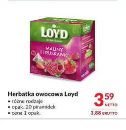Makro Herbatka owocowa Loyd oferta