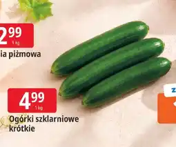 E.Leclerc Ogórki szklarniowe krótkie oferta