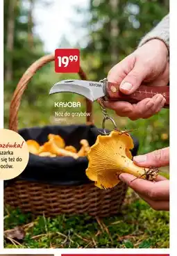 Jula Nóż do grzybów Kayoba oferta