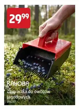 Jula Zbieraczka do owoców jagodowych Kayoba oferta