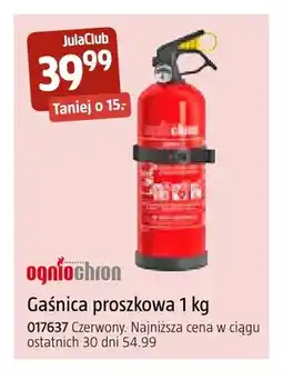 Jula Gaśnica proszkowa 1 kg Ogniochron oferta
