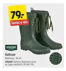 Jula Kalosze Kayoba Outdoor oferta