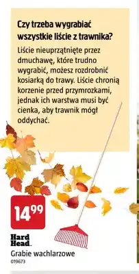 Jula Grabie wachlarzowe Hard Head oferta