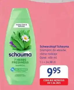 dm drogerie markt Szampon do włosów Schwarzkopf Schauma oferta