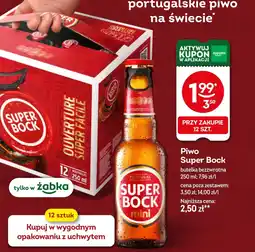 Żabka Piwo Super bock oferta