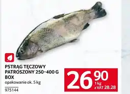 Selgros Pstrąg tęczowy Ok oferta