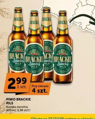 ABC Piwo Brackie Pils oferta