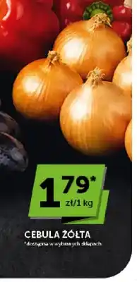 ABC Cebula żółta oferta
