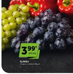 ABC Śliwki oferta