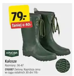 Jula Kalosze Kayoba Outdoor oferta