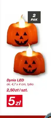 KiK Dynia LED 2-pak oferta