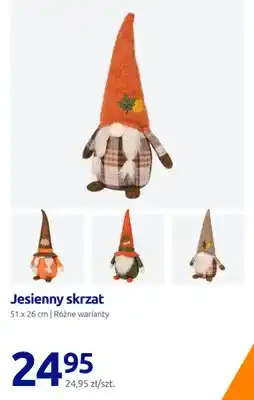 Action Jesienny skrzat 51x26 cm oferta