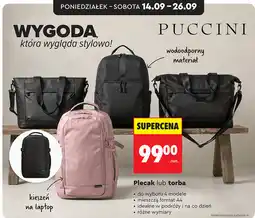 Biedronka Plecak lub torba Puccini oferta