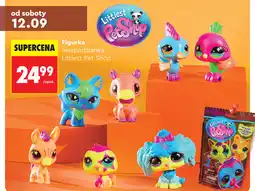 Biedronka Figurka niespodzianka Littlest Pet Shop oferta