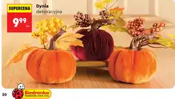 Biedronka Dynia dekoracyjna oferta