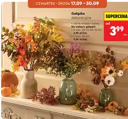 Biedronka Gałązka dekoracyjna oferta