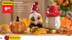 Biedronka Dekoracja ceramiczna LED oferta