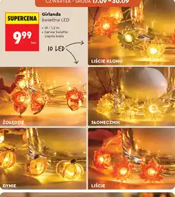 Biedronka Girlanda świetlna LED oferta