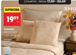 Biedronka Poduszka dekoracyjna oferta